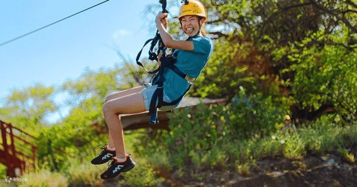 Zip Dip Adventure with Waikiki Transportation Klook