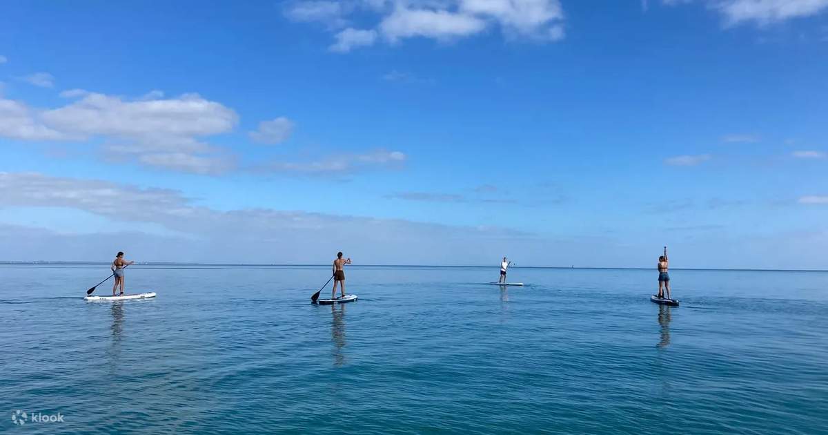 Stand Up Paddle Boarding Lunch And Hot Spring Experience In Mornington Peninsula Klook
