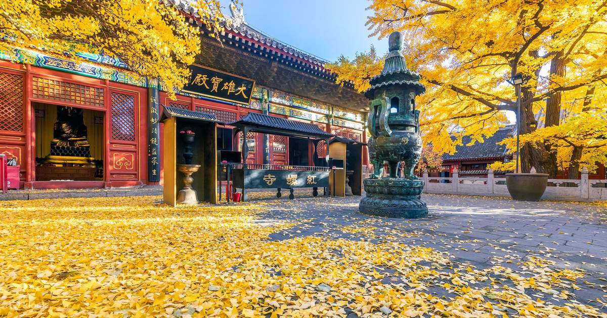 1-Day Tour of Beijing Hongluo Temple (Prayer Line, daily round trip ...