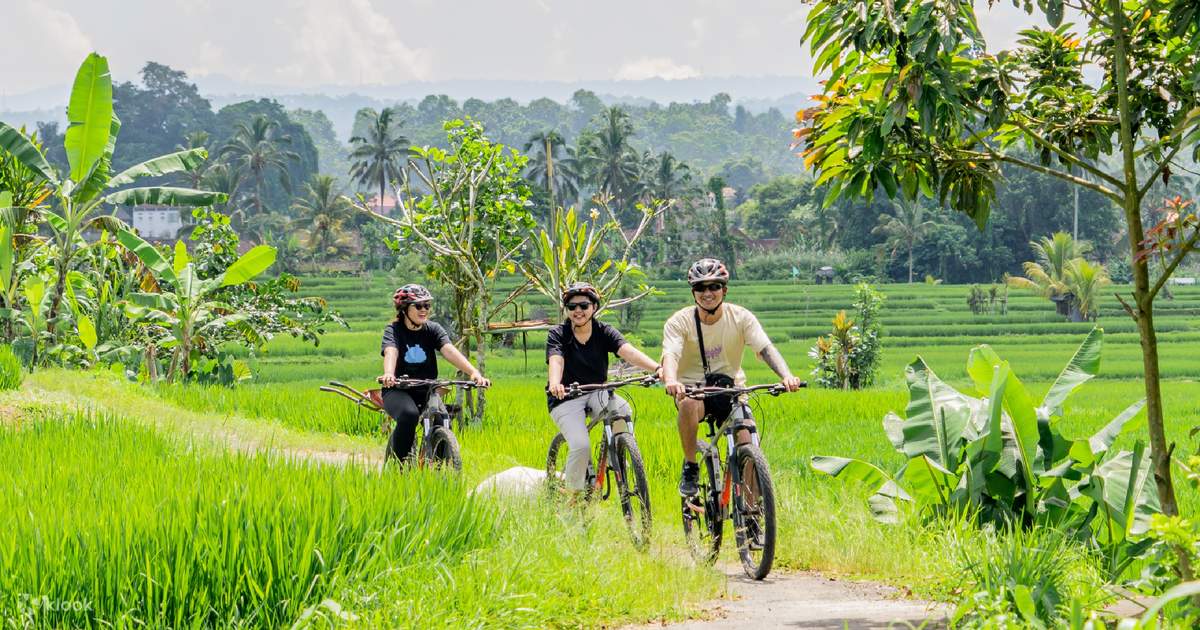 Kintamani to Ubud Bike Tour - Klook Malaysia