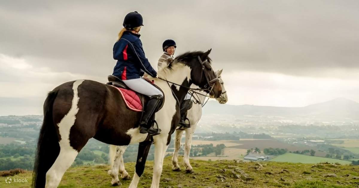 Chuyến tham quan trong ngày đến Wicklow Glendalough và Powerscourt từ