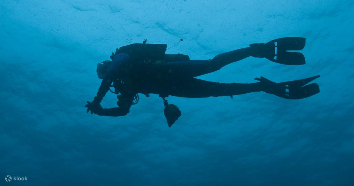 PADI Enriched Air Diver in Florida with PADI 5 Star IDC Klook Singapore