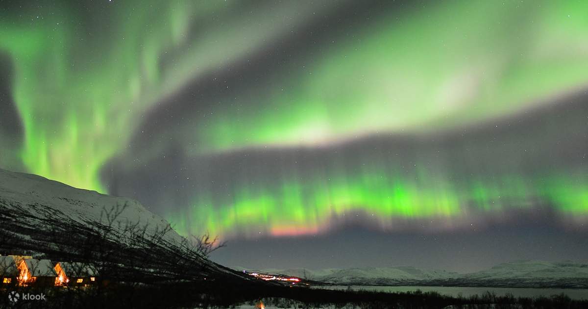 the Northern Lights in This Abisko National Park Nightly Aurora Photo Tour Klook