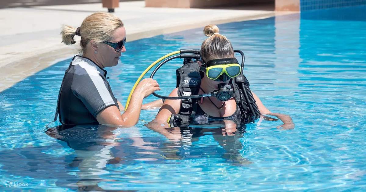 Open Water Diver (E learning) in Florida with PADI Dive Center Klook