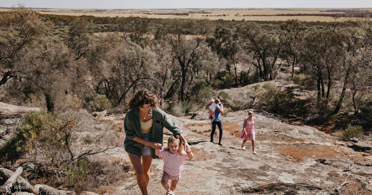 Wave Rock, York, Wildflowers & Aboriginal Culture Day Trip from Perth ...