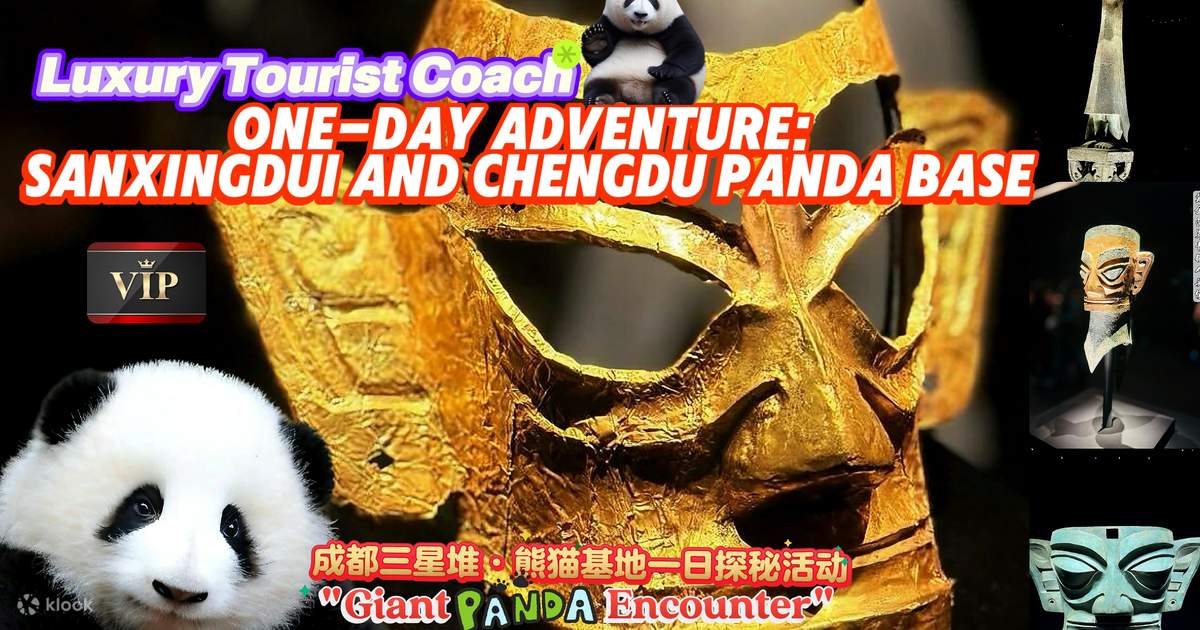 1-Day Exploration of Chengdu Sanxingdui Panda Base (Traveling through ...