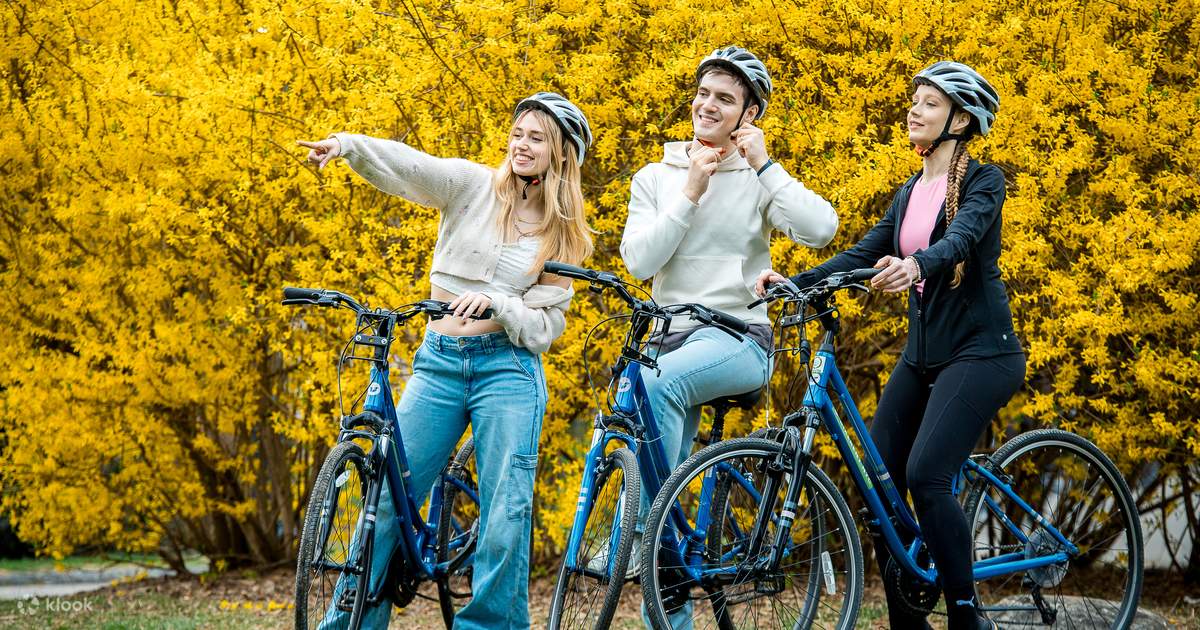 Central Park Bike Rental in New York City Klook