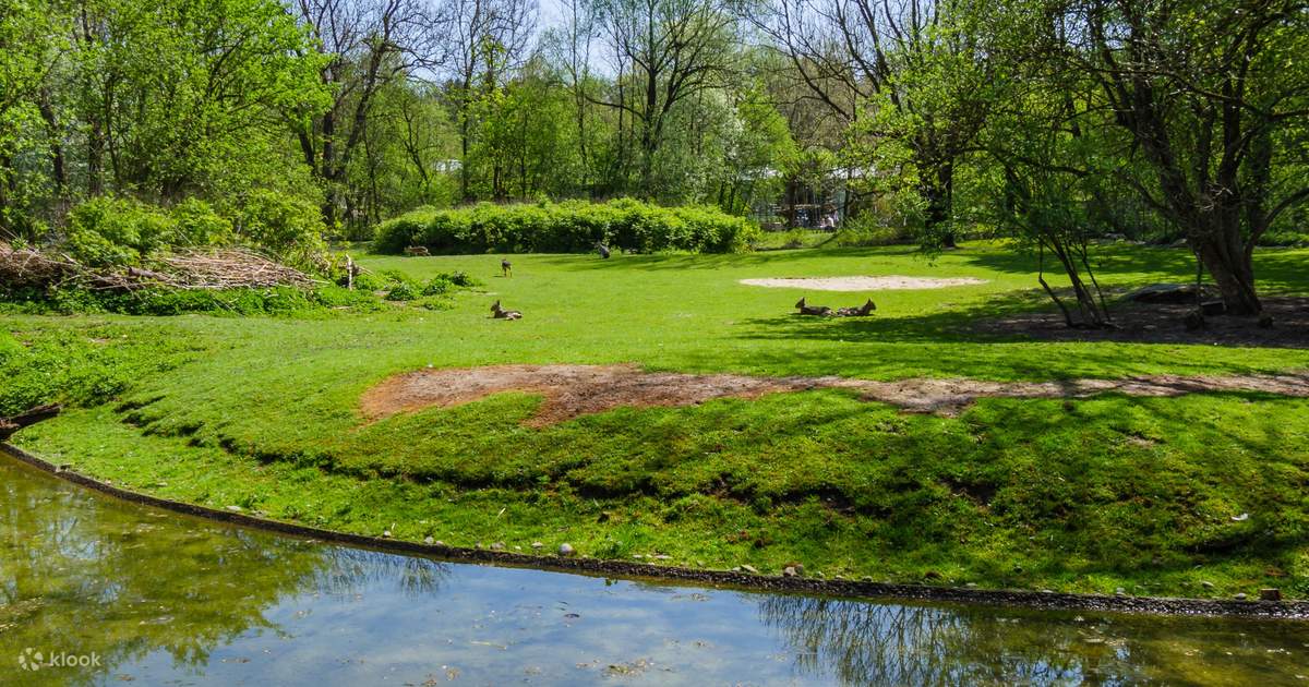 Central Park Audio Tour in New York - Klook Malaysia