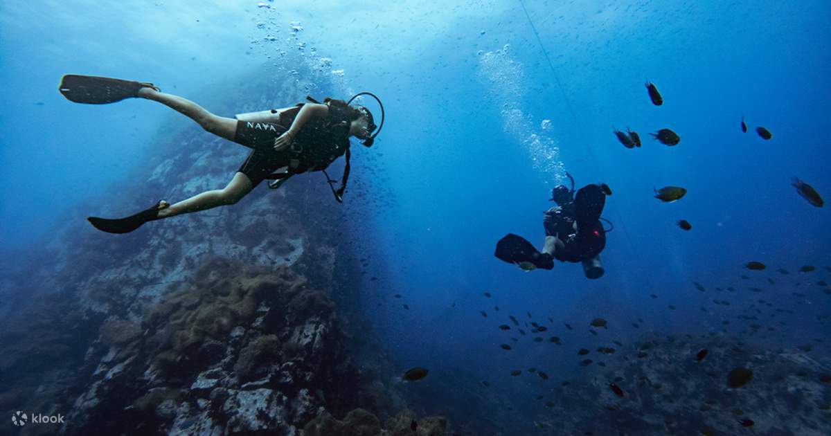 Enjoy an Unforgettable Morning Dive Trip in Koh Tao with PADI 5 Star