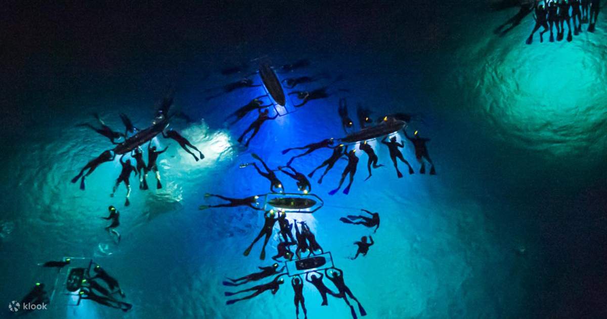 manta ray night dive hawaii dive site map