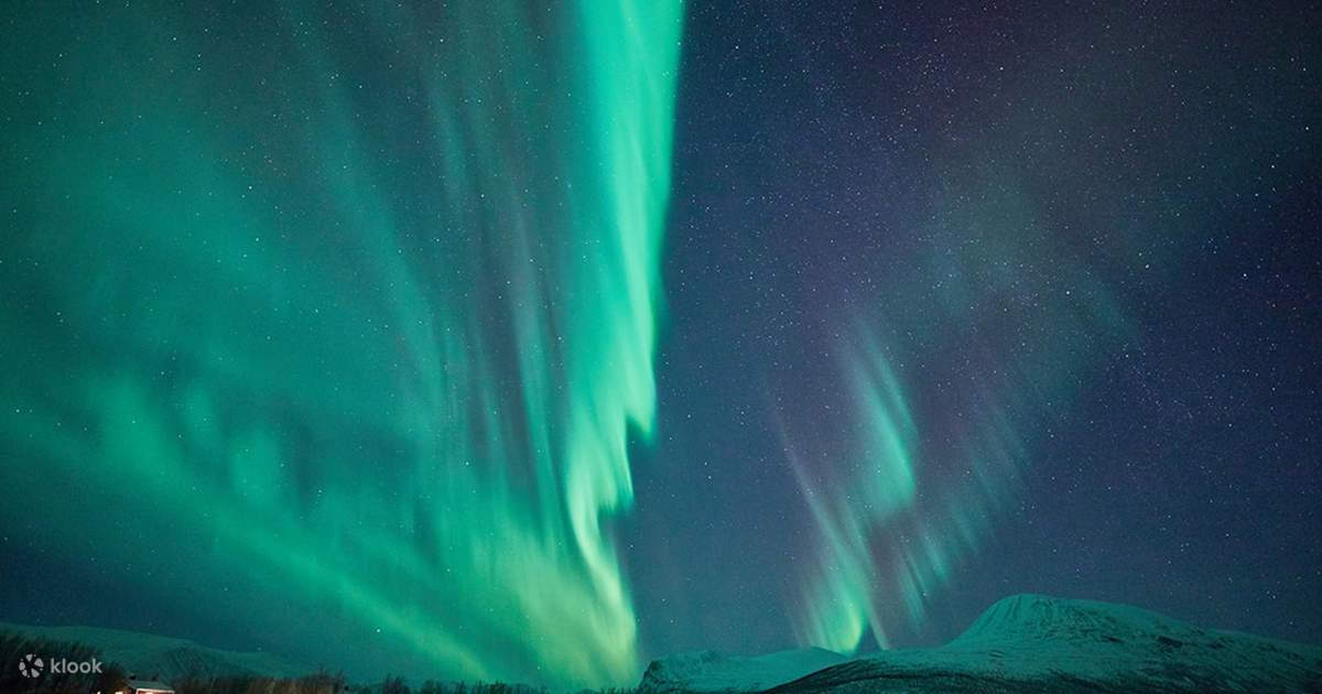 Se venligst Rå ledelse Swedish Mountain Northern Lights Experience in Kiruna - Klook