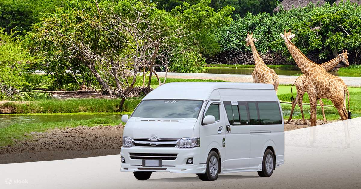 共乘景点接送曼谷赛福瑞野生动物园 Safari World Klook客路