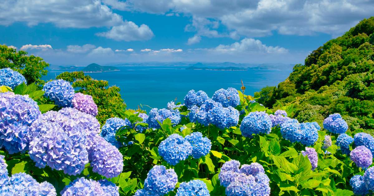 Excursión de un día a la costa oriental y occidental de Jeju Klook