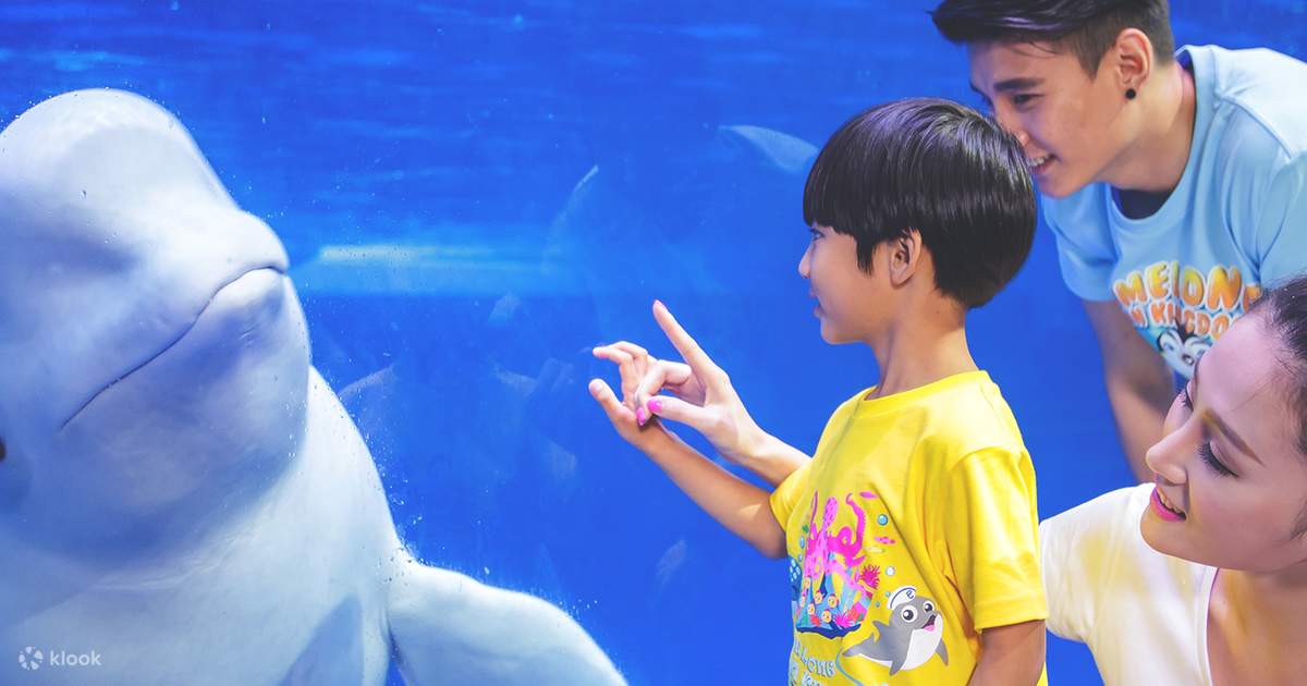 Vé Công viên Chimelong Ocean Kingdom Klook Việt Nam - Main Image