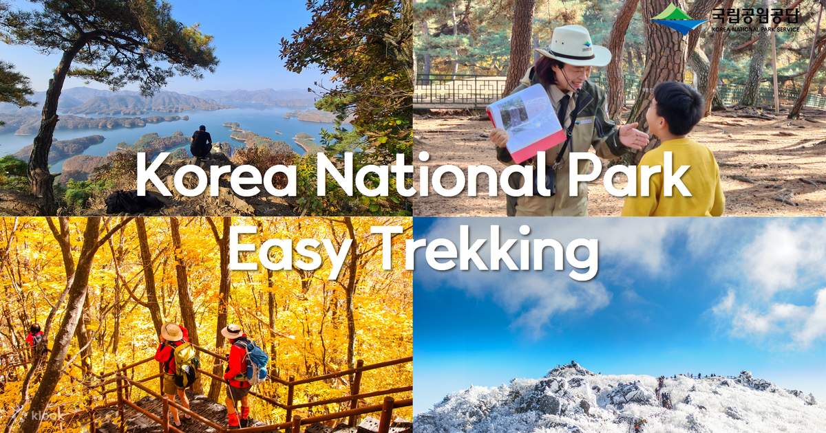 Korea National Park Day Tour from Seoul - Klook Malaysia