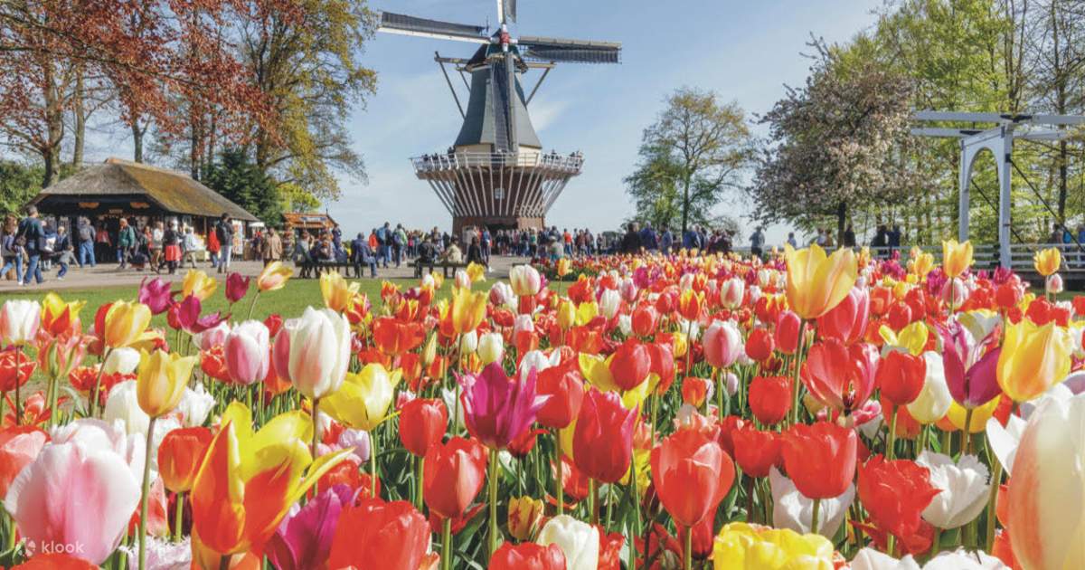 Keukenhof Gardens Fast Track Entry Ticket with Round Trip Bus Transfers from Amsterdam - Klook United Kingdom