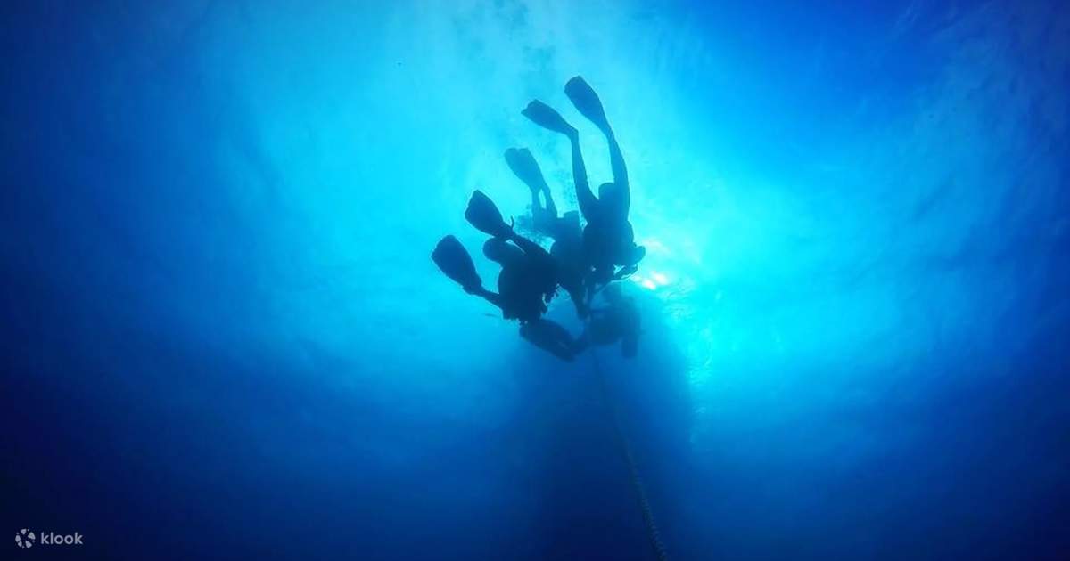 PADI Discover Scuba Diving in Florida with PADI 5 Star Dive Center Klook