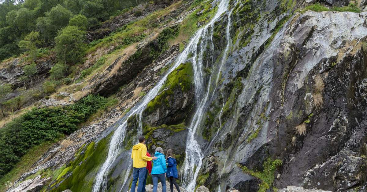 Wicklow, Glendalough & Sheepdog Demonstration Tour from Dublin - Klook