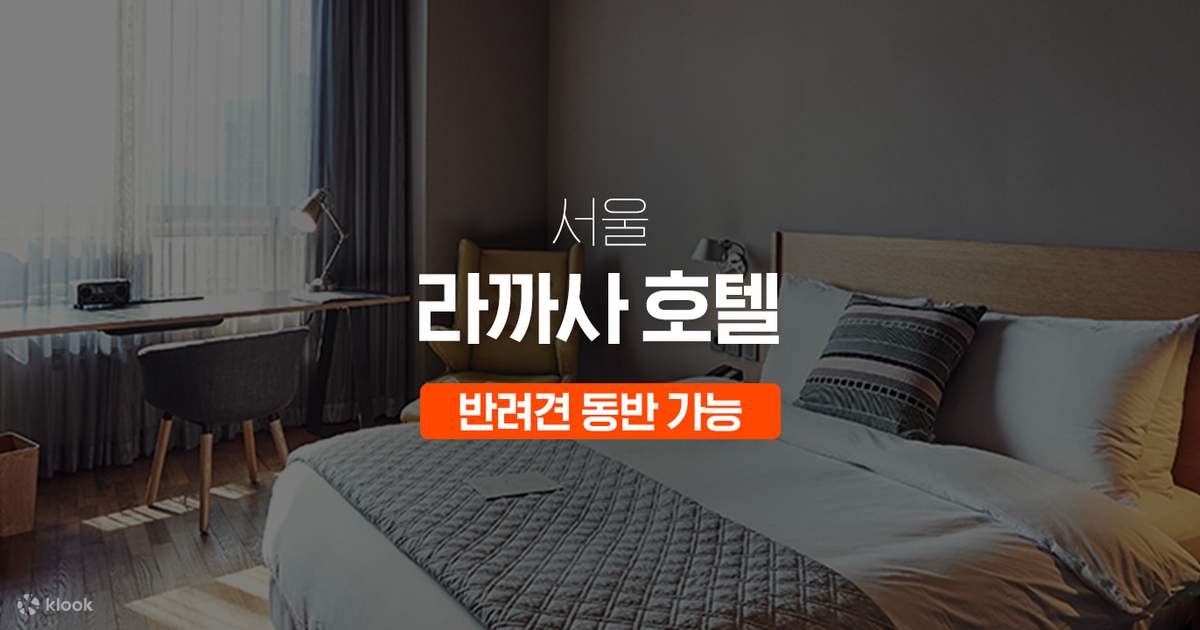 lacasa-hotel-seoul-pet-room - 클룩 Klook 한국 Lacasa-Hotel-Seoul-Pet-Room - 클룩 Klook 한국