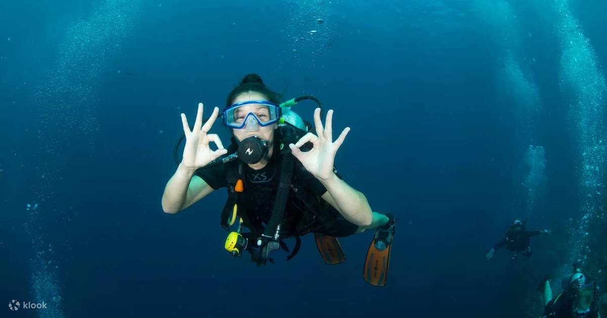Become an Open Water Diver at the Premier PADI 5 Star Dive Center in ...