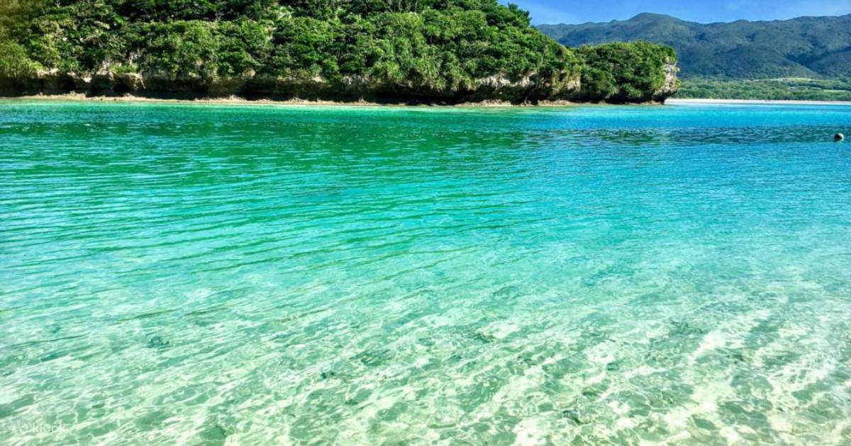 石垣島 Evトライクツアー 川平湾でグラスボートセットcプラン Klook