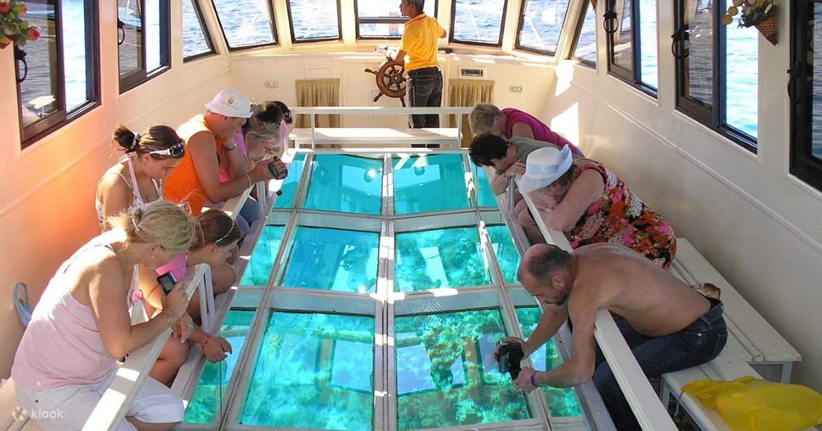 1 hour Glass Boat Sea Trip With Transportation Sharm El Sheikh
