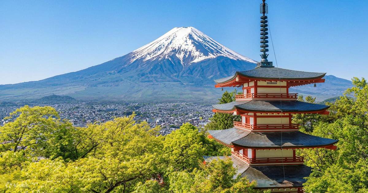 Mount Fuji's Magnificent Scenery & Shibazakura Festival Romantic