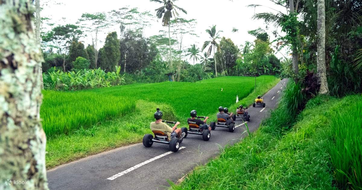 Jungle Kart Experience in Ubud Bali - Klook