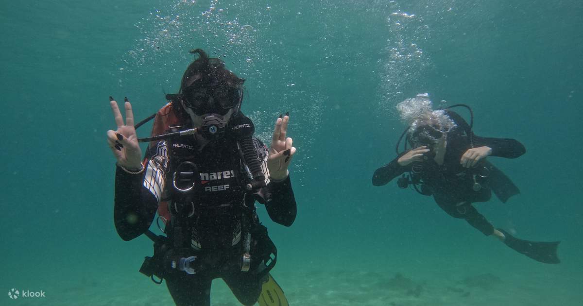 Scuba Diving Experience for Beginners in Dubai Klook