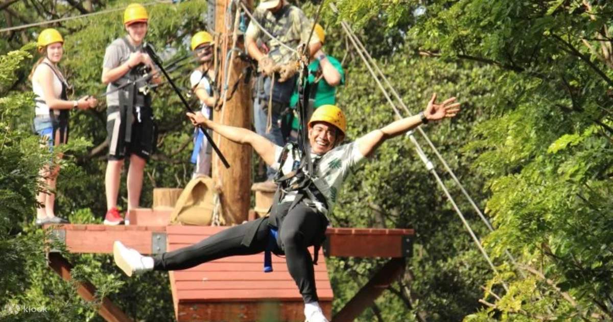 Zipline Dolphin Watching Snorkel Adventure in Oahu Klook Philippines