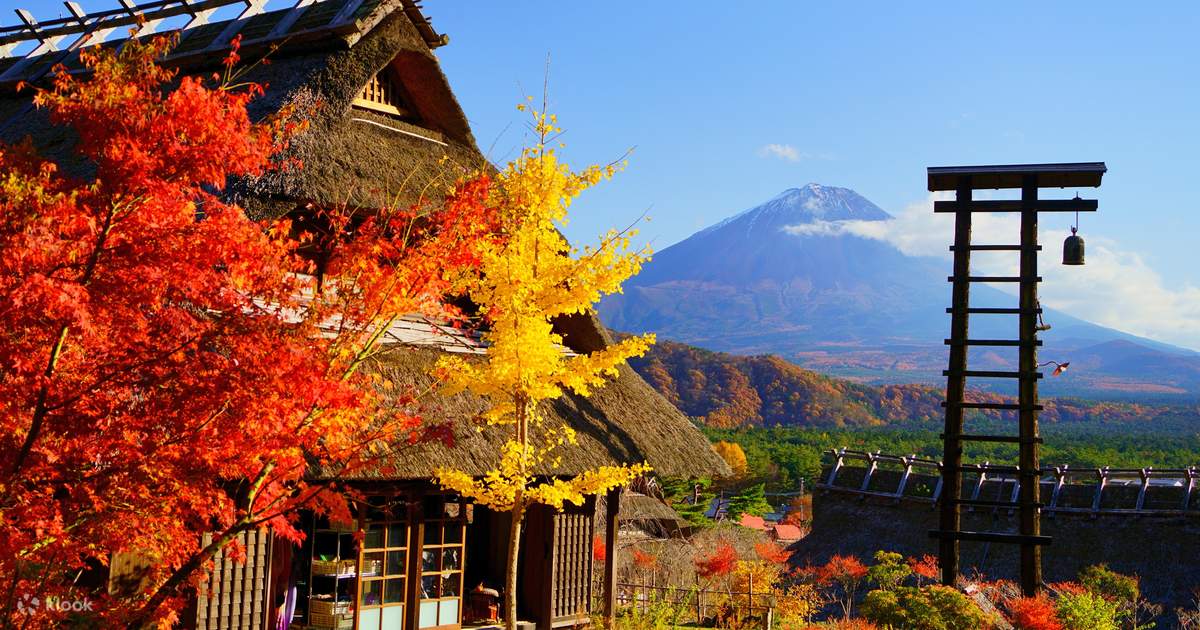 富士山 东京出发山梨富士山新仓山浅间公园・山中湖花之都公园一日游线上