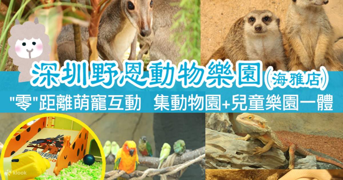 Shenzhen Yeen Animal Park (Bao'an Haiya Branch) allows you to touch ...