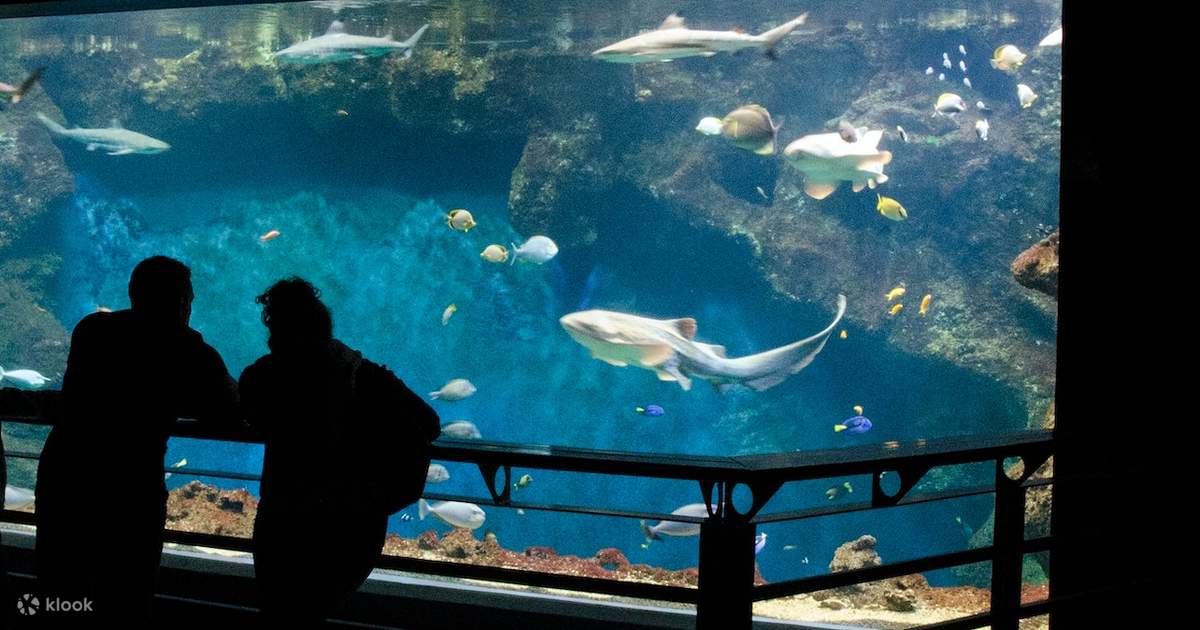 Aquarium de Lyon