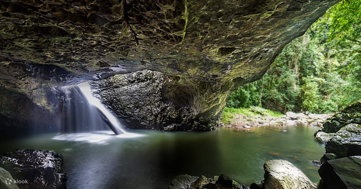 Springbrook National Park Bush Walking Tour (Chinese Tour) - Klook ...
