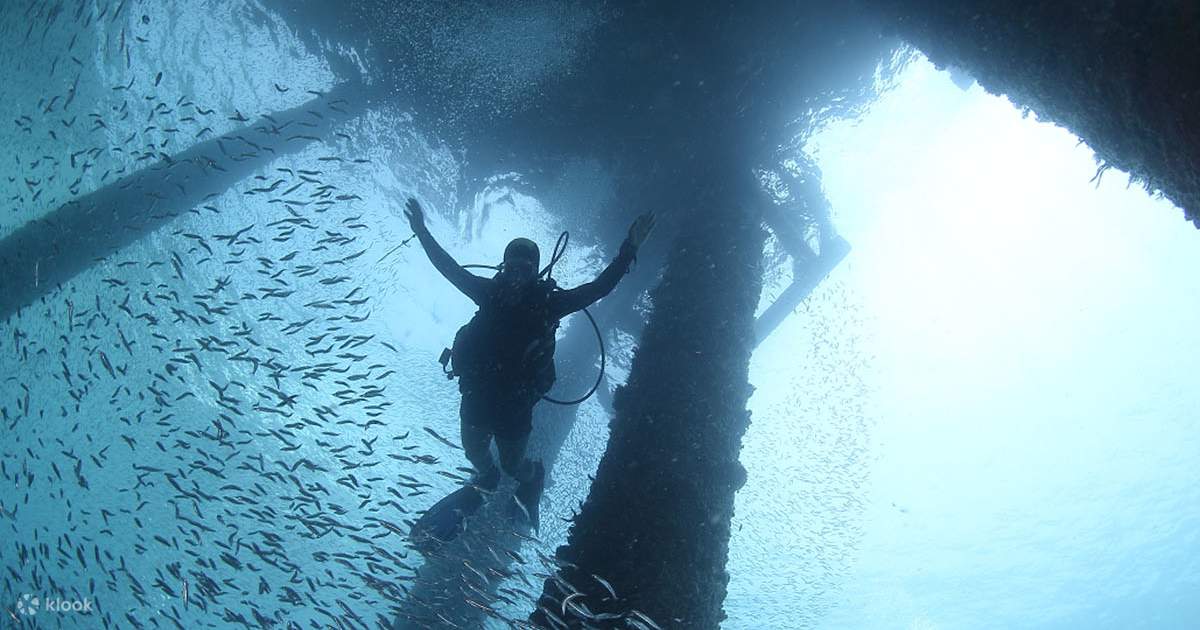 Experience the PADI AOW Diver Certification in Negros with PADI Resort