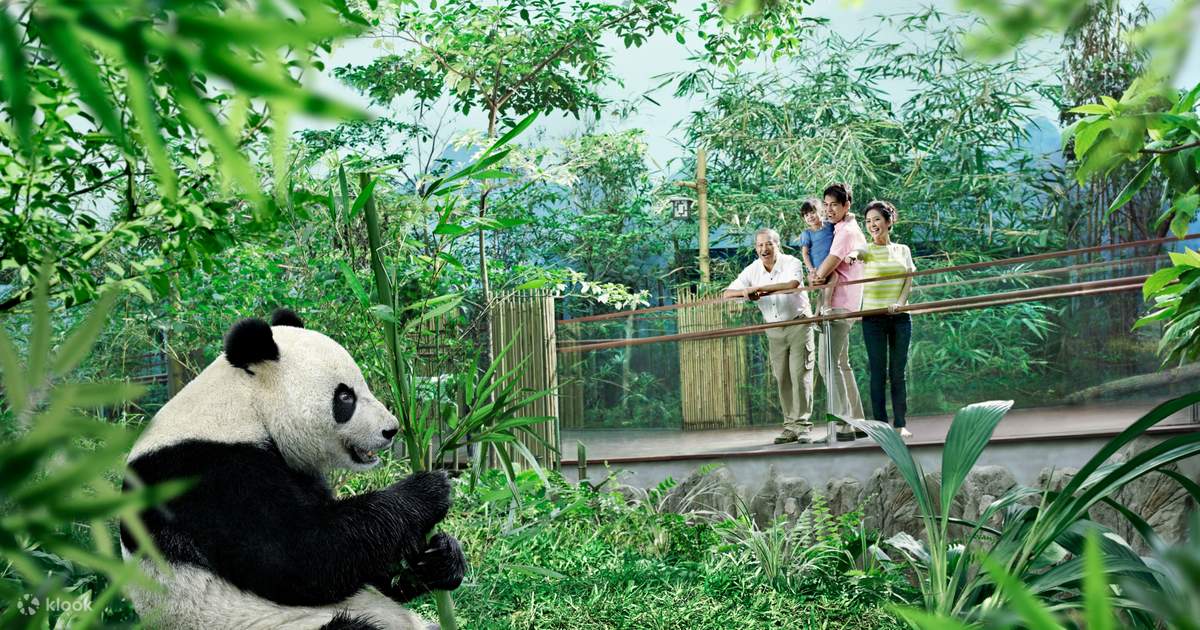 Thẻ Park Hopper Tham Quan Sở Thú Singapore, Night Safari, River Safari và  Rainforest Lumina - Klook Việt Nam