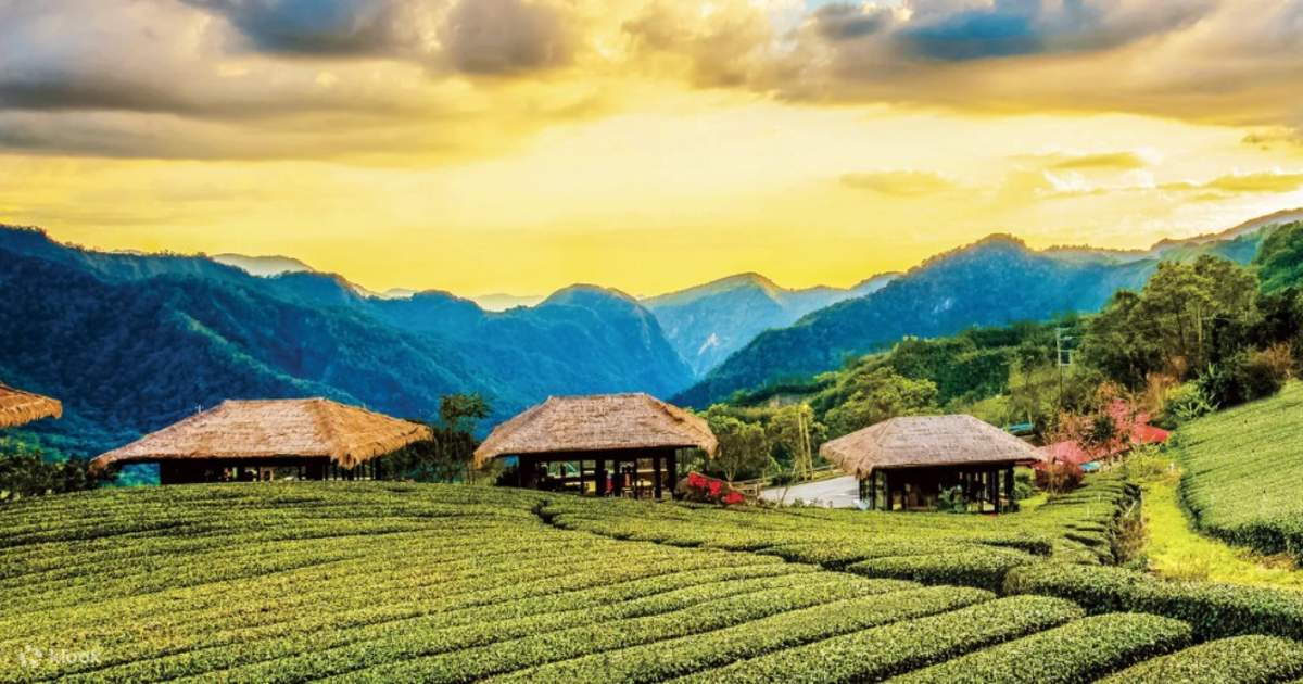 Tiket Chiayi Alishan｜Youyou Basi Tsou Cultural Tribe - Klook Amerika  Syarikat