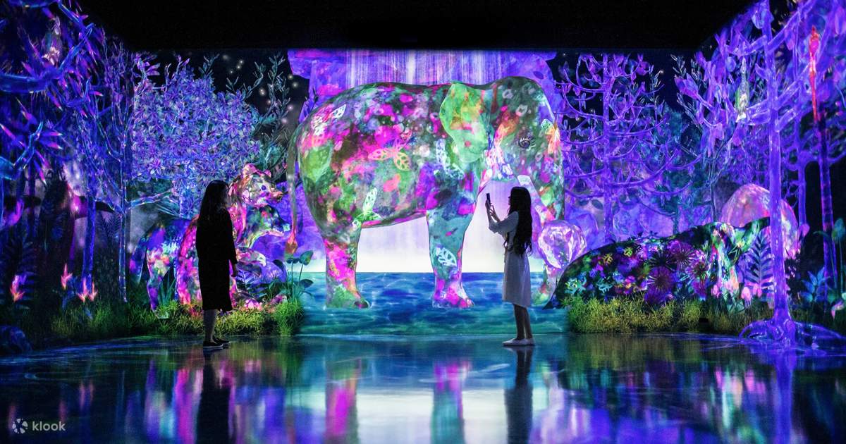 Book for tickets to teamLab Forest in E・ZO FUKUOKA - Klook Canada