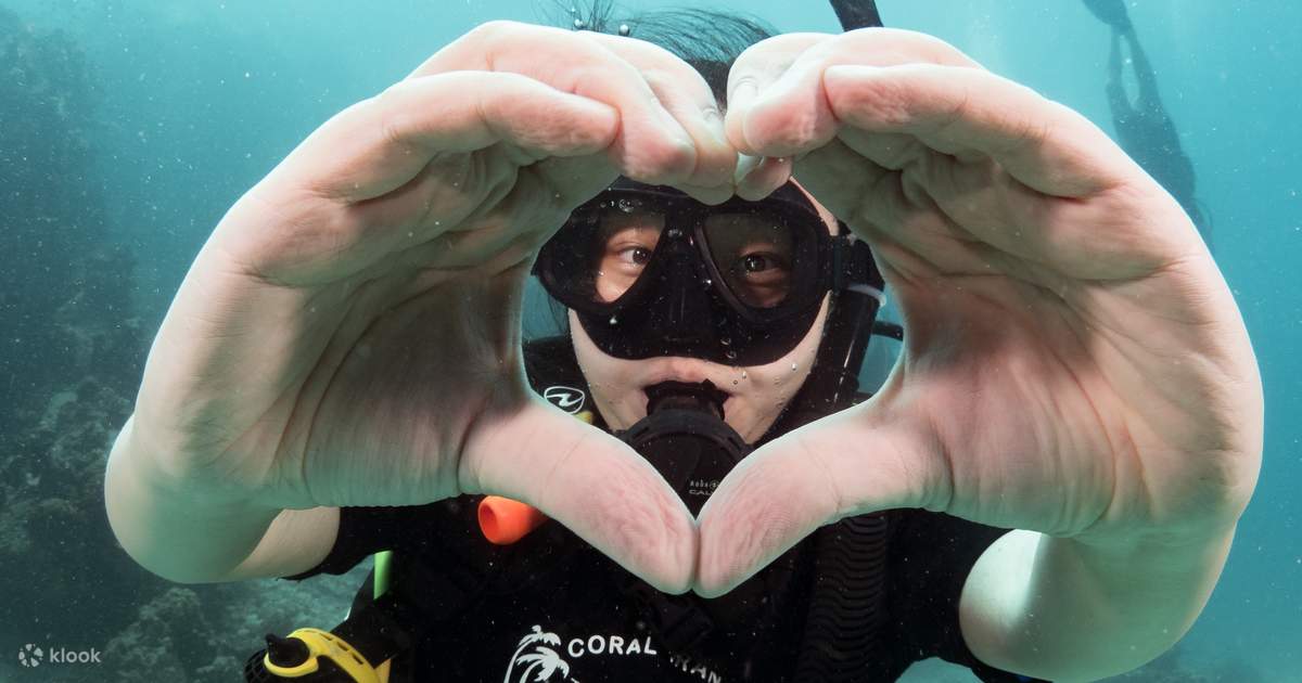 Discover Scuba Diving in Koh Tao with PADI 5 Star IDC Resort Explore Discover Scuba Diving in Koh Tao with PADI 5 Star IDC Resort Explore