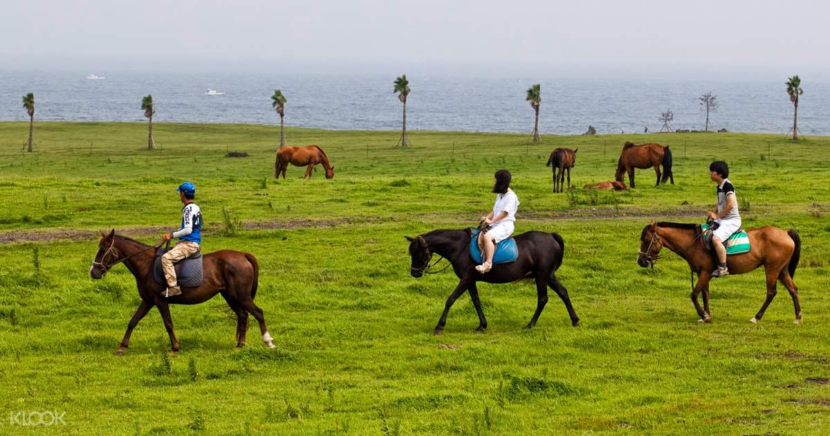 Jeju Land Horseback Riding