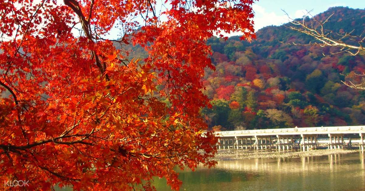 Arashiyama Kinkakuji Temple And Fushimi Inari Shrine Whole Day Tour In Kyoto Klook Us