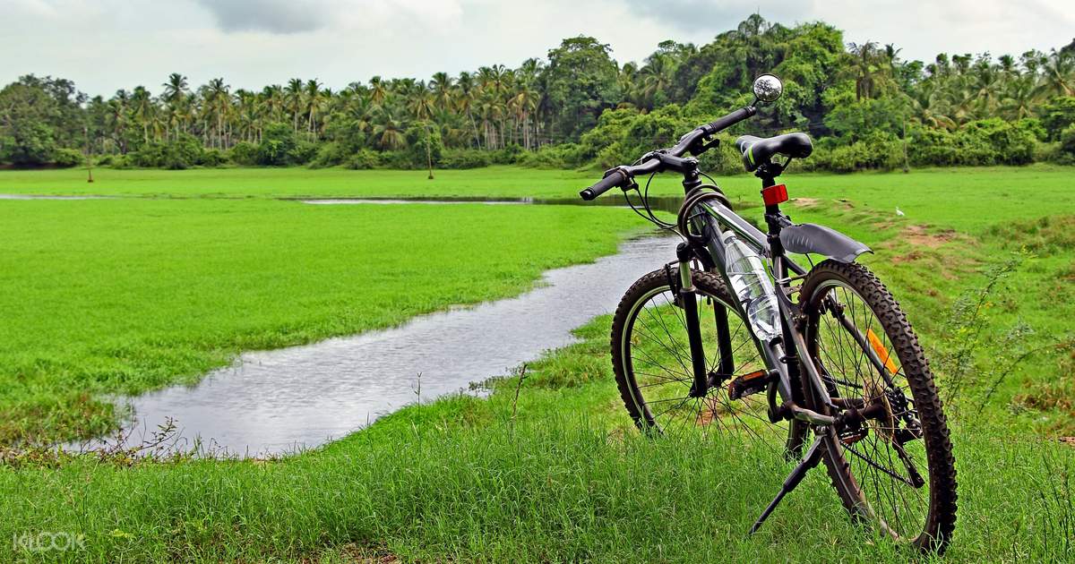 Up to 20% Off | Goa Divar and Chorao Islands Cycling Tour - Klook India