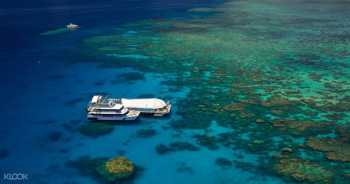 Great Barrier Reef Snorkeling Cruise And Underwater Observatory From Cairns Klook Australia