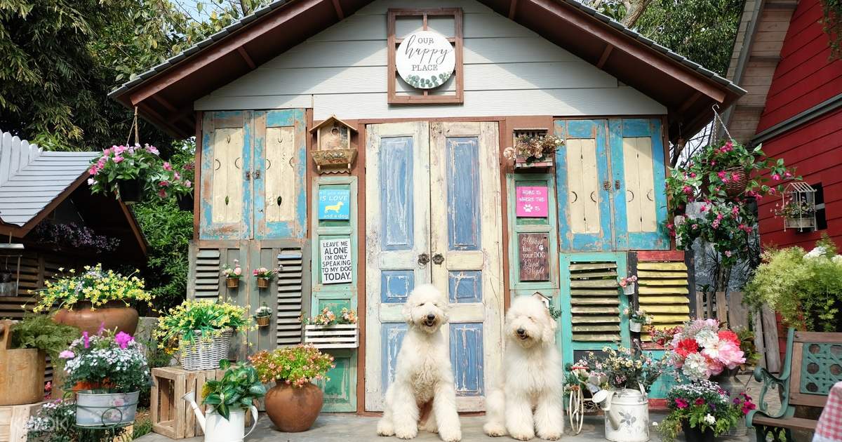 Rumah Guguk Ticket In Bandung
