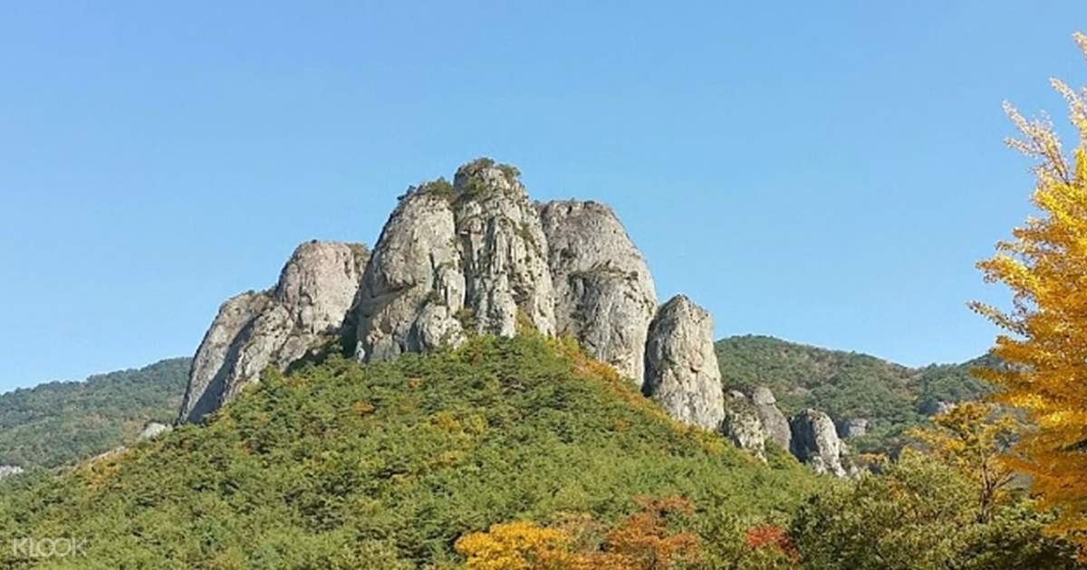 周王山国立公园 青松苹果采摘一日游 釜山出发 Klook客路
