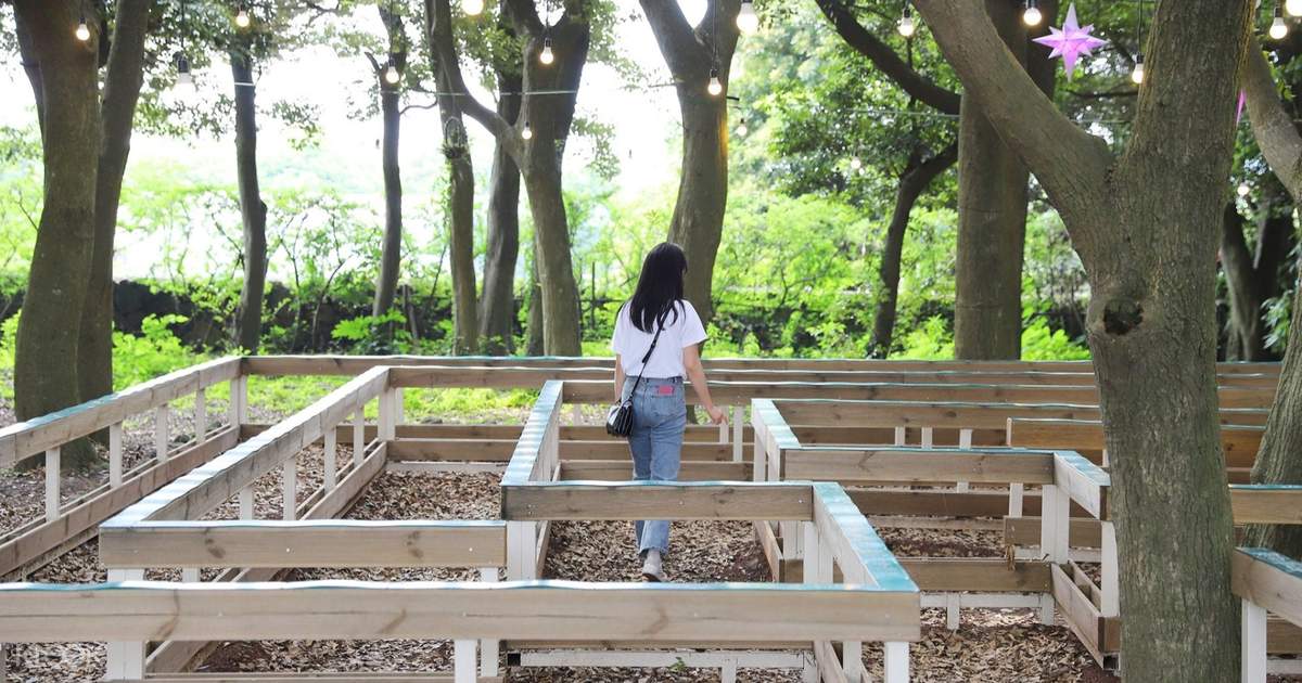 X Maze Land Ticket In Jeju X Klook Malaysia