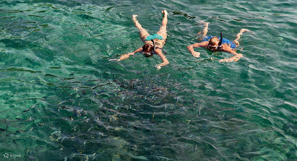 ラグーナ・レダン島 3D2N フルボード タートルシュノーケリング体験付き