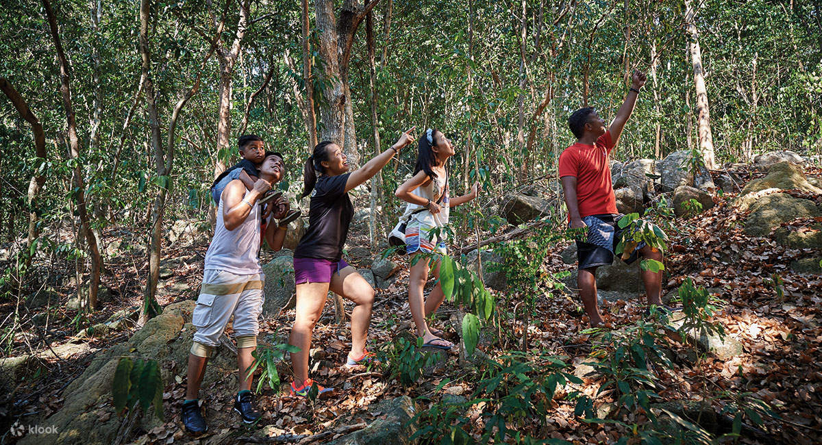 ジャングルトレッキング