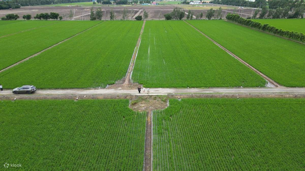 Pengalaman pengoperasian drone dan piknik pedesaan di Nanporo