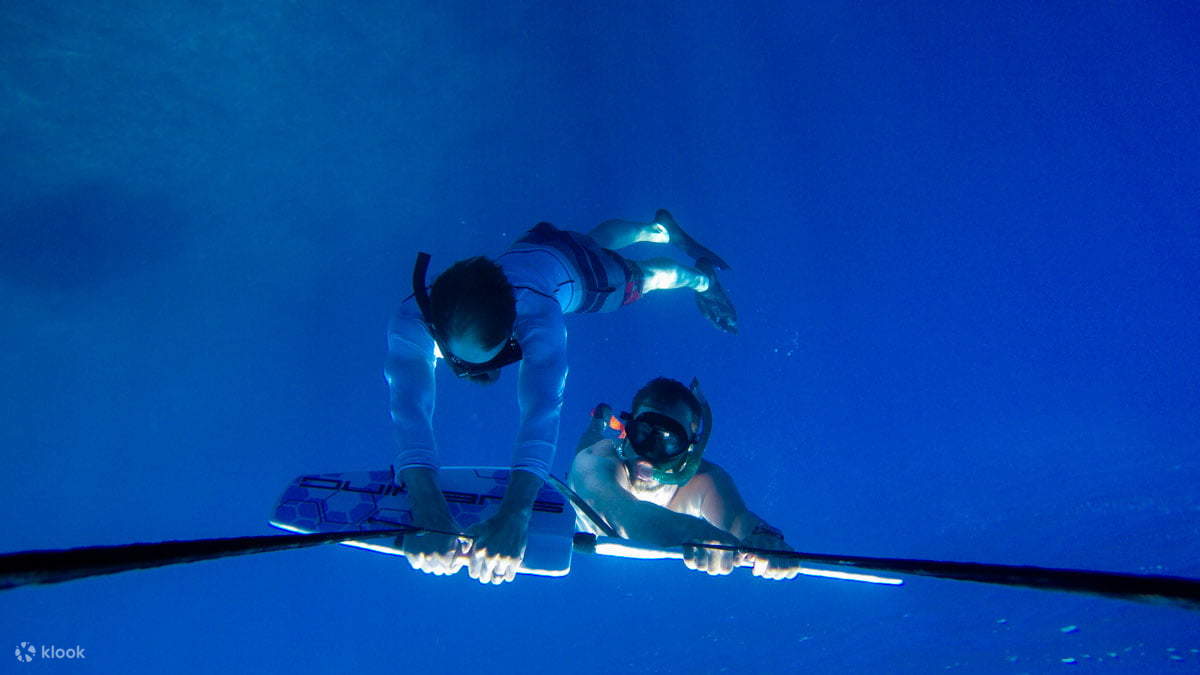 Water Ski and Sub Wing Adventure with Private Transfer - Hurghada